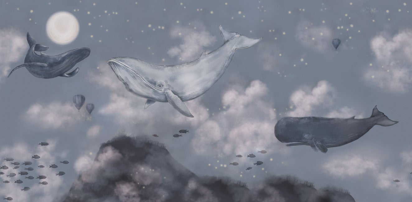 Whales in the sky