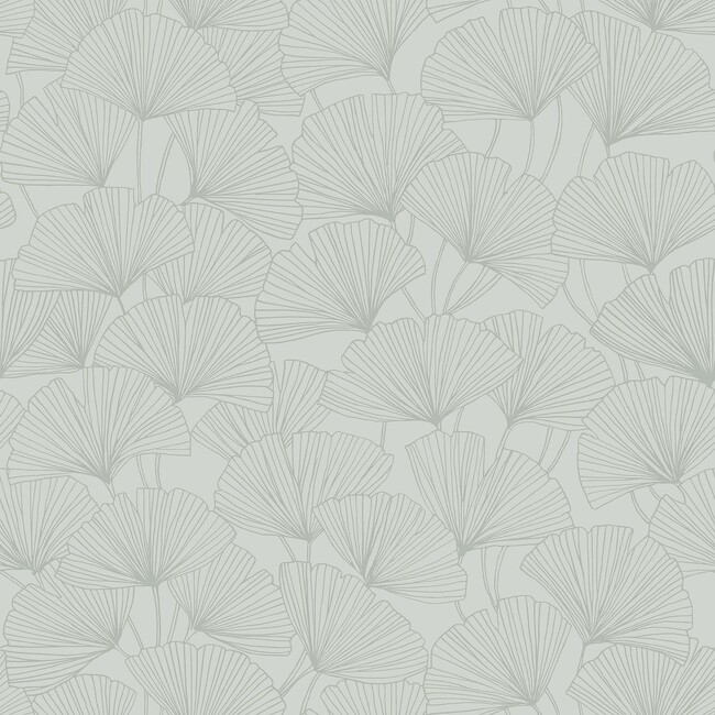 Ginkgo