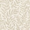 Ferns