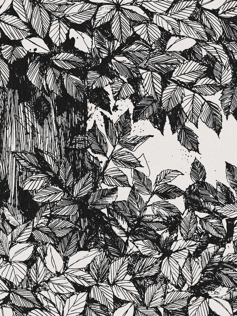 Viola Gråsten Hassel