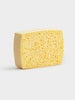 Cleaning sponge 