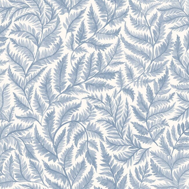 Ferns