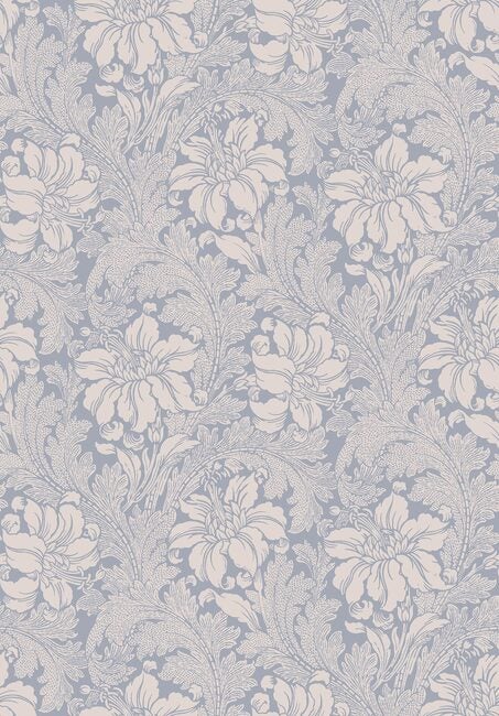Acanthus
