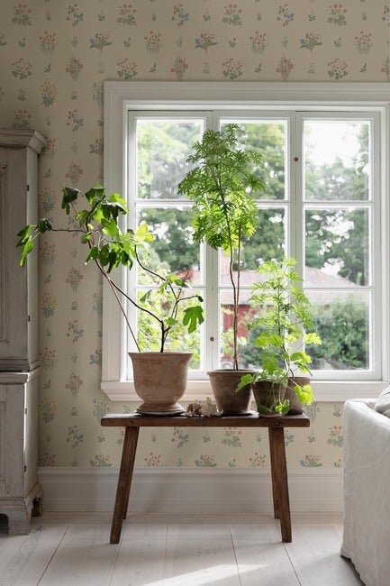 3D super jinsiy oyin