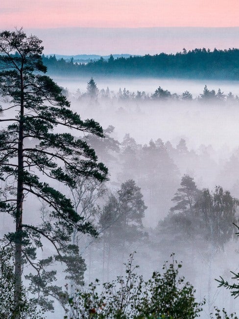 Marie Mattsson Blå Timmen