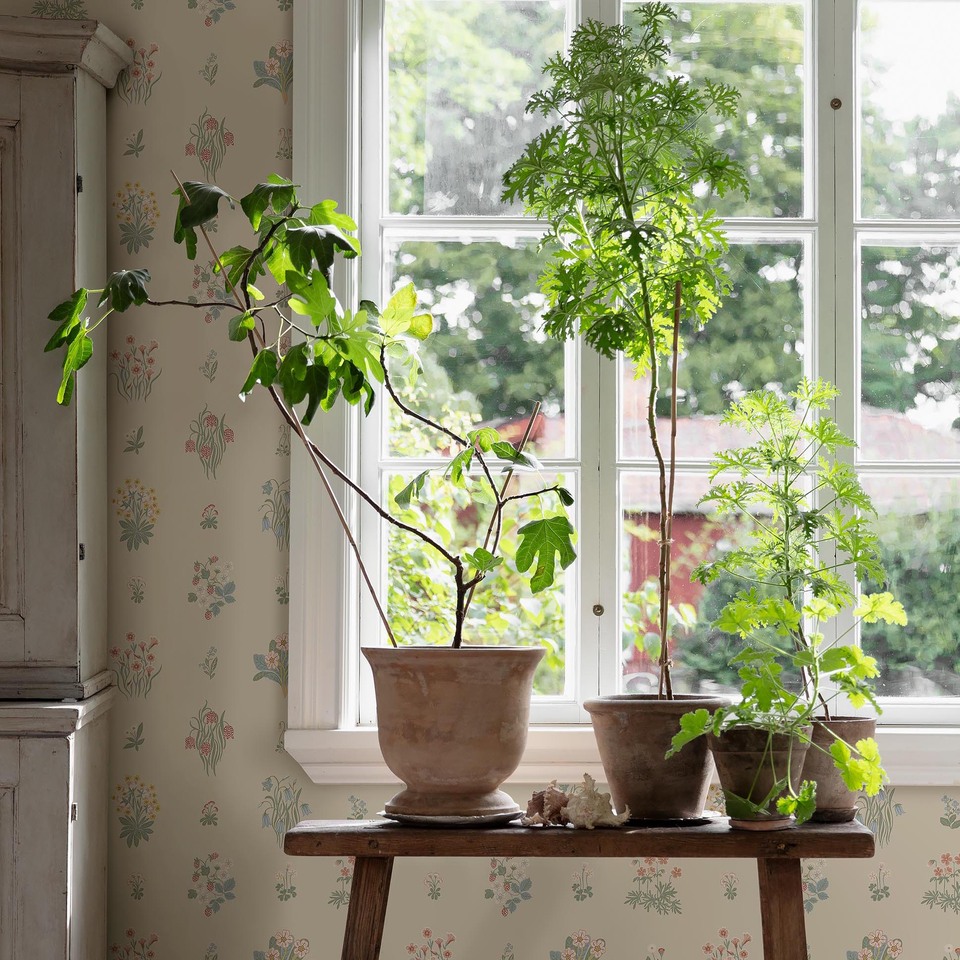 Kampanj_6951_ÄngsFlora_Roomshot_86.jpg