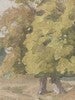 Hedgerow Landscape
