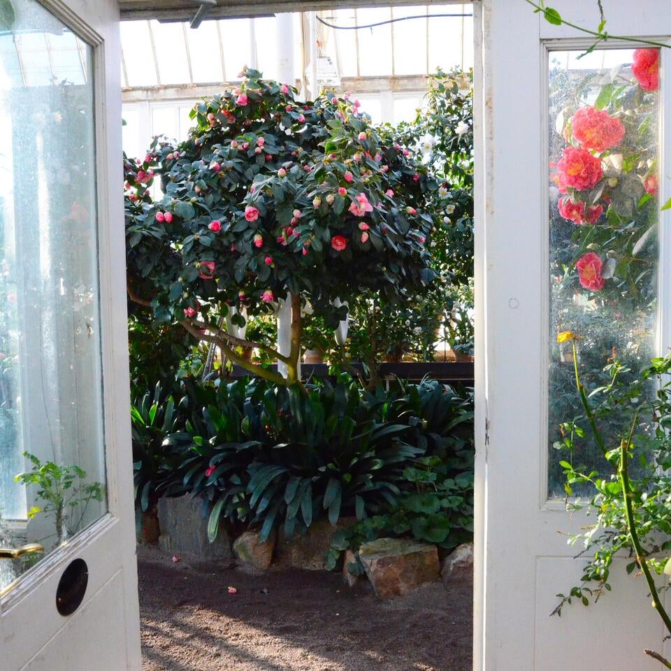 bt2524_camp_secret_garden_img1.jpg