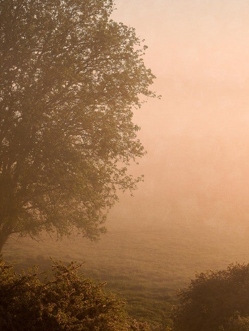 Marie Mattsson Kultmarken