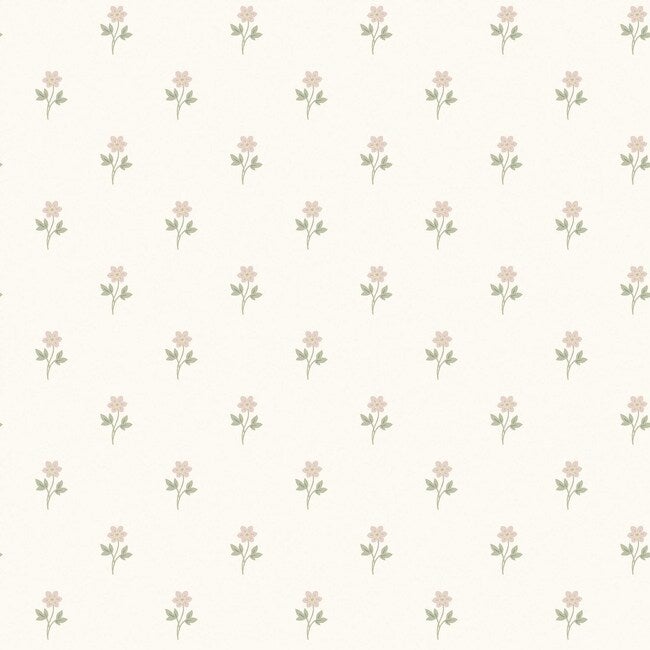 Anemone