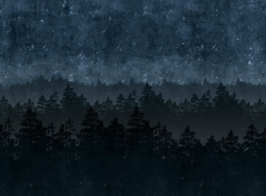 Nordic Night