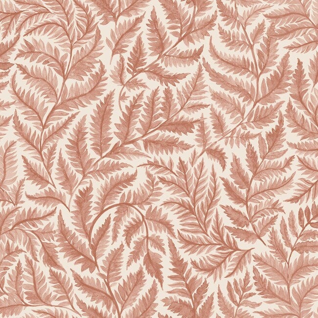 Ferns