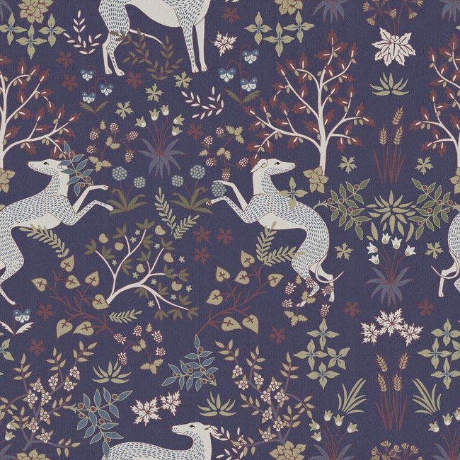 Whippet