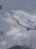 Whales in the sky