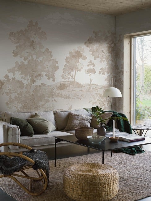 Countryside Landscape