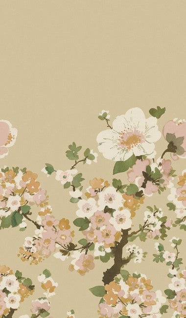 Apple Blossom