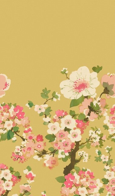 Apple Blossom