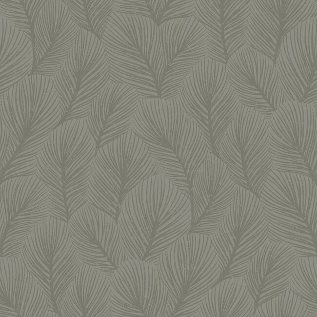 Pine Tree