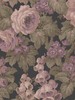 Rose Magnifique