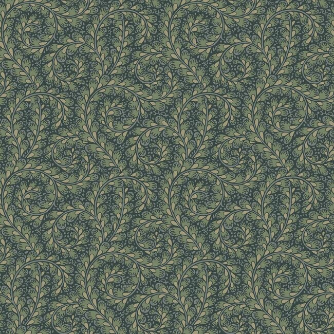 Wild Ferns