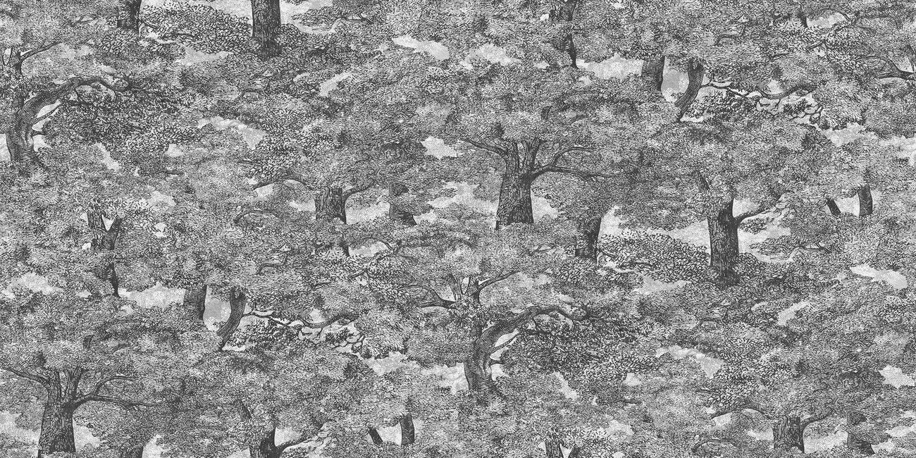 Samburu Tree 