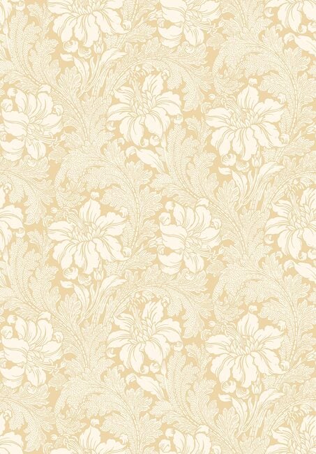 Acanthus
