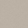 Canvas Taupe