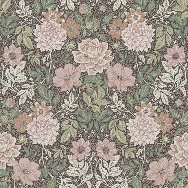 Dahlia Garden Grand
