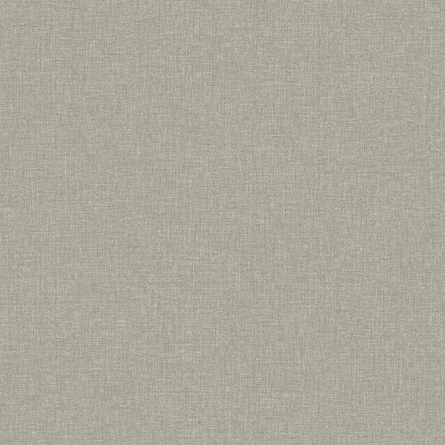 Canvas Olive