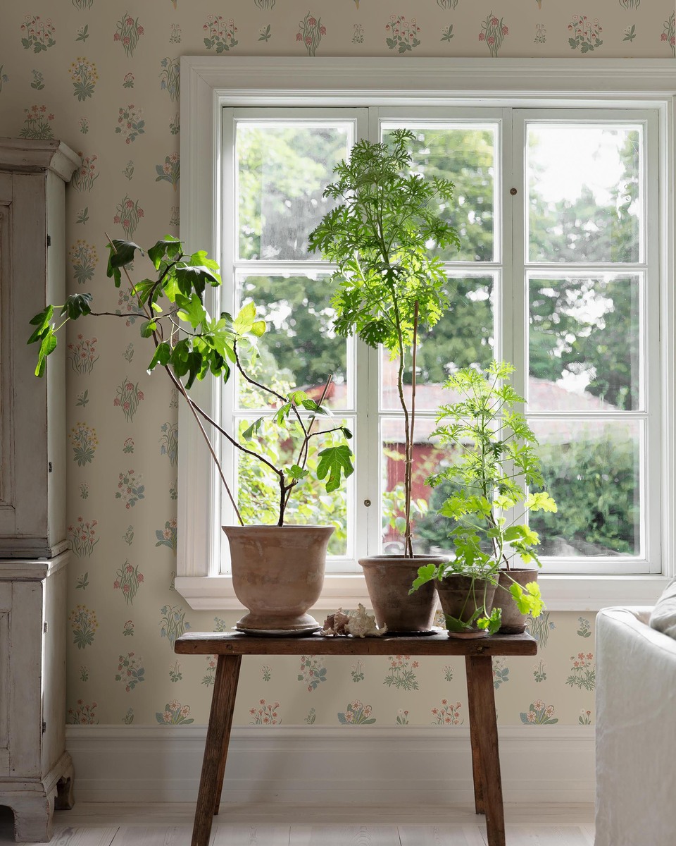 Kampanj_6951_ÄngsFlora_Roomshot_8.jpg