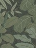 Grand Leaves