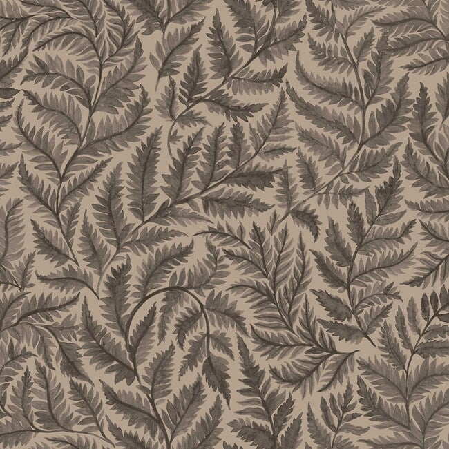 Ferns