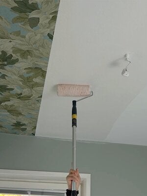 bt2340_wallpaperschool_ceiling_neswlist.jpg