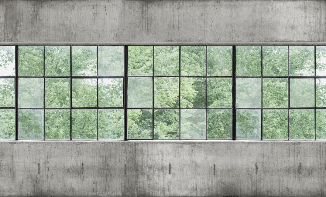 Concrete Wall Windows