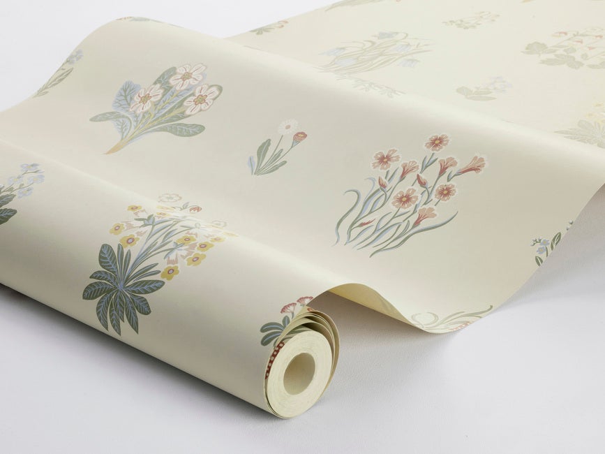 Xususiy porno video albomlar