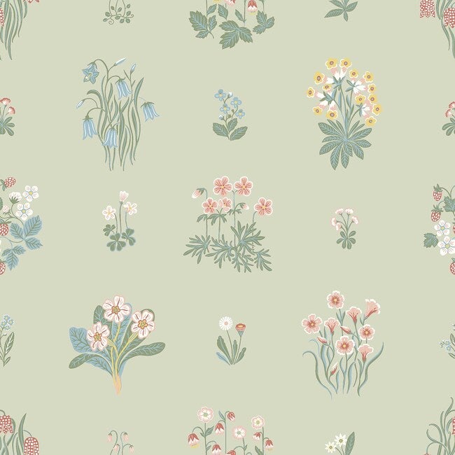 Ängsflora