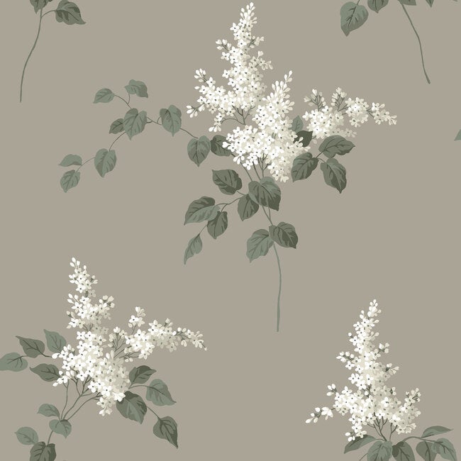 Lilacs