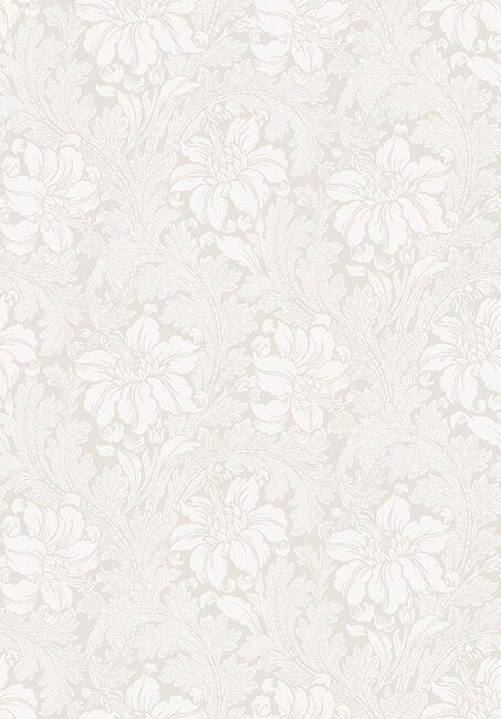 Acanthus