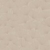 Ginkgo