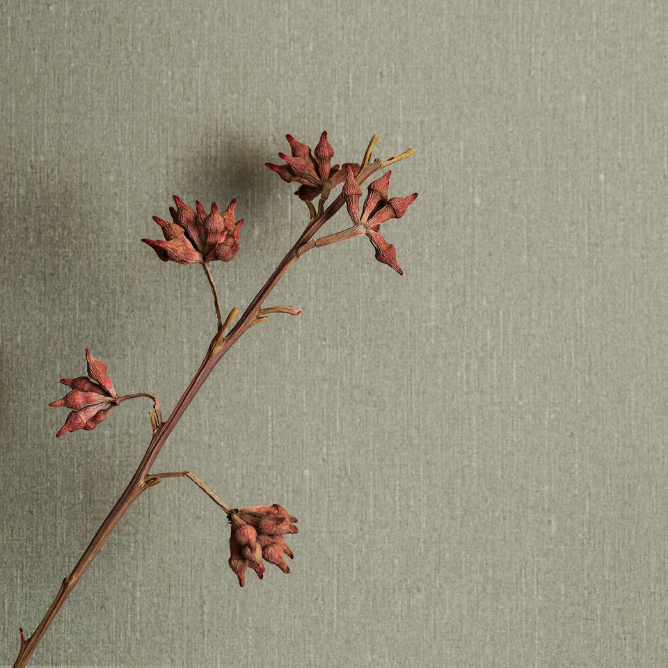 Soft_Olive-6_Image_Roomshot_DiningArea_Item_4335.jpg