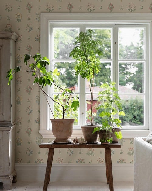 Kampanj_6951_ÄngsFlora_Roomshot_8.jpg