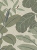 Grand Leaves