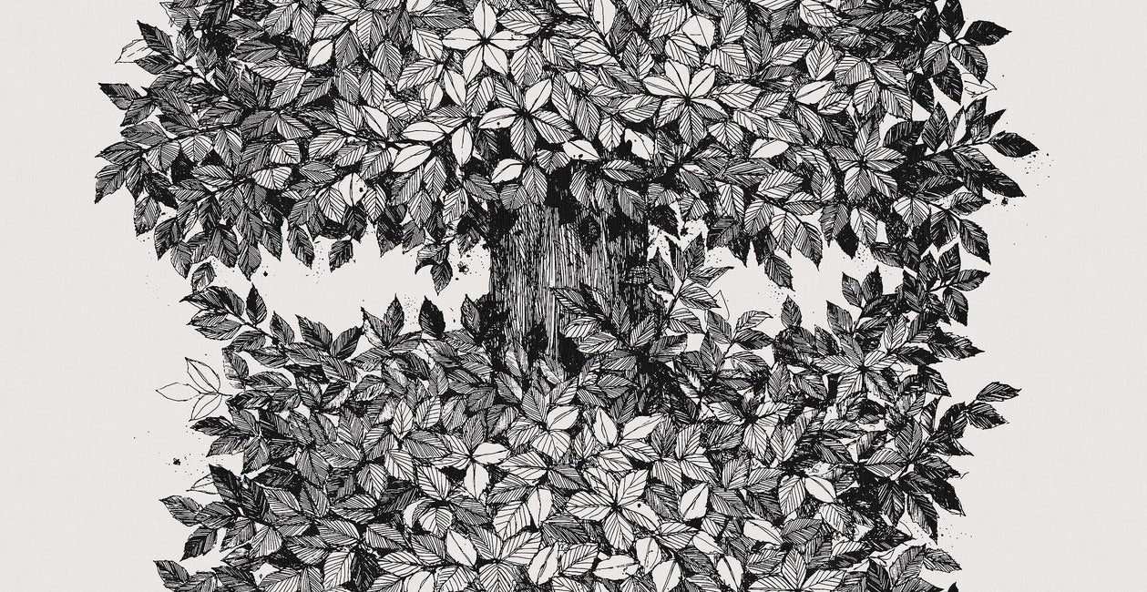 Viola Gråsten Hassel