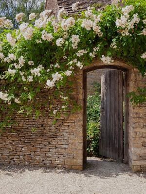 bt2524_camp_secret_garden_newslist.jpg