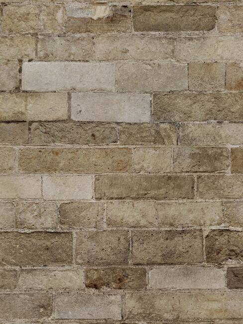 Limestone Brick
