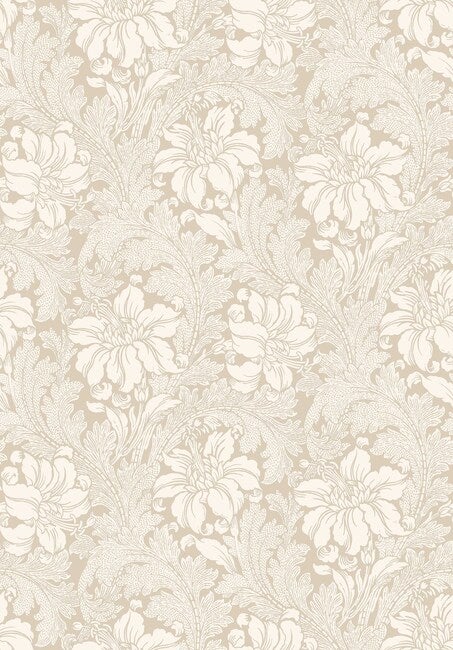 Acanthus