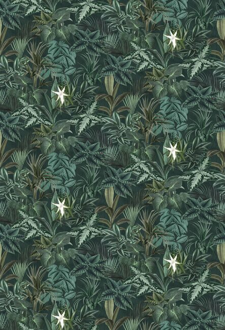 Madagascar Leaves