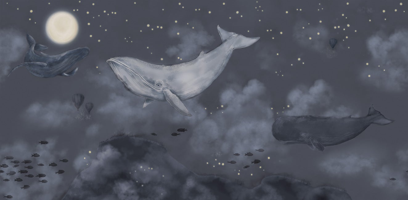 Whales in the sky