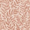 Ferns